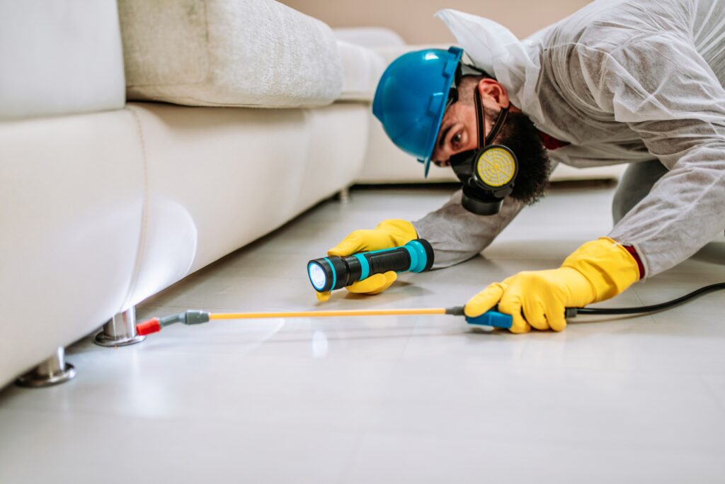 Walnut Termite Control